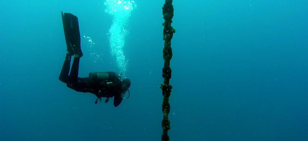Royal Australian Navy Clearance Divers from Clearance Diving Team One and Four inspect a mooring buoy that came loose from its anchor point off Koro Island, Fiji.