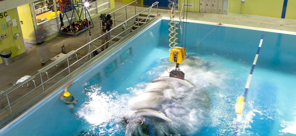The documentary 'Redesign my Brain' which features Todd Sampson being filmed in the Helicopter Underwater Escape Training (HUET) facility at HMAS Albatross.
