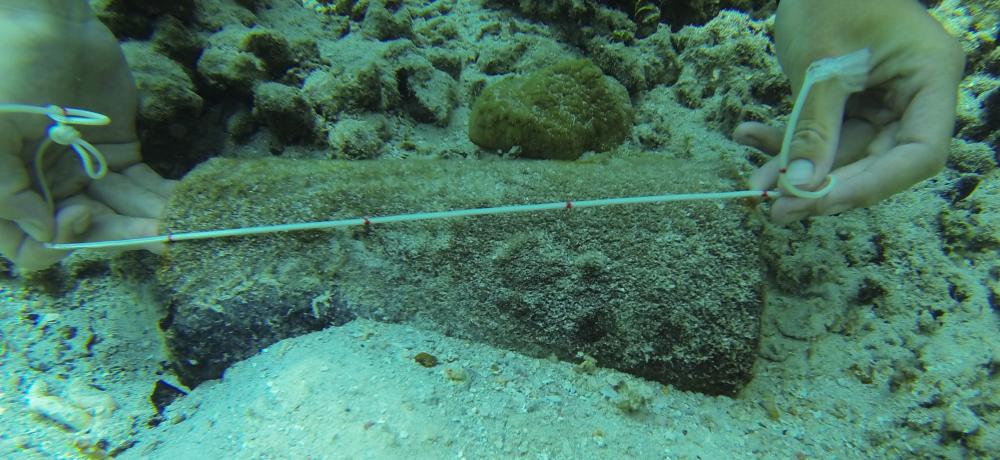 Unexploded ordnance on the seabed in Solomon Islands.