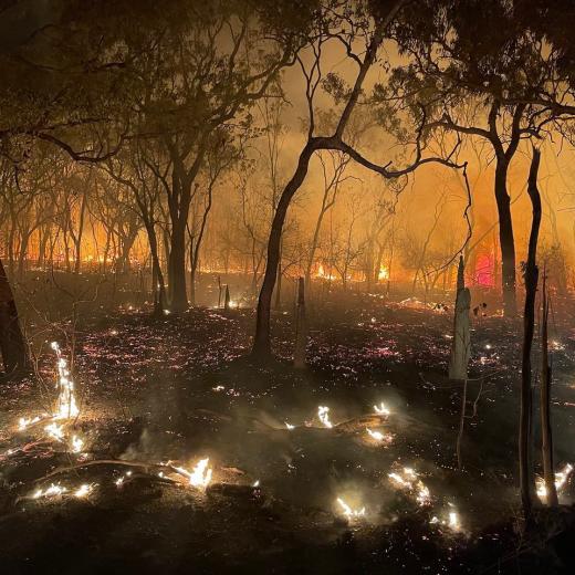 No. 17 Squadron Fire Section responded to a request from Bushfires Northern Territory 