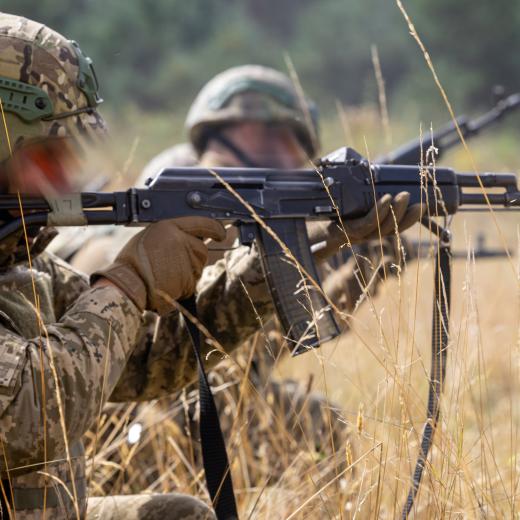 Armed Forces of Ukraine platoon live fire activity