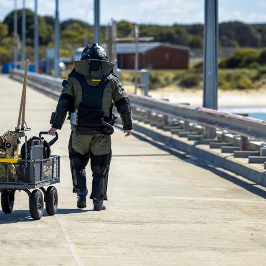 Mine Warfare and Clearance Diving Task Group checks the wharf for improvised explosive devices 