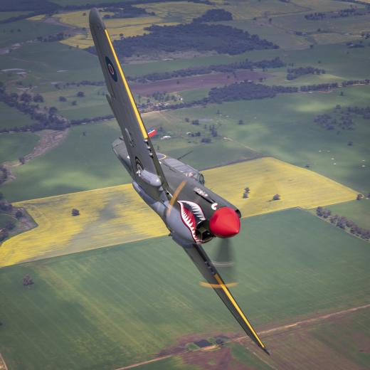 Curtiss P-40N Kittyhawk  Temora.