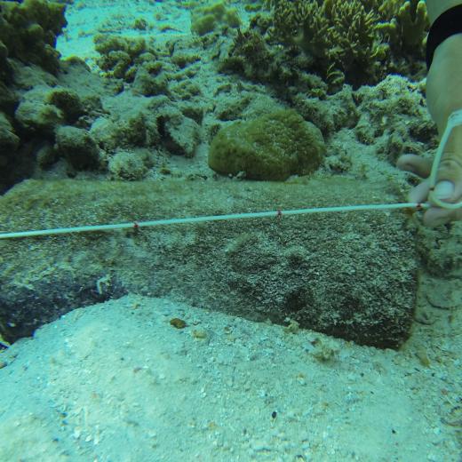 Unexploded ordnance on the seabed in Solomon Islands.